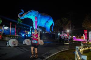 BIB: 
                            <button type="button" onclick="openModal(26552397)" class="btn btn-primary btn-sm float-right btn-popup" data-toggle="modal" data-target=".modal-high-quality">
                        <i class="fas fa-shopping-cart"></i> Add to Cart
                    </button>
                                            <button type="button" onclick="isThisMe(26552397, true)" class="btn btn-success btn-sm float-right btn-popup btn-isme hidden" data-toggle="tooltip" data-placement="bottom" title="นี่คือรูปของคุณใช่ไหม คลิกที่นี่เพื่อเอาเข้าอัลบั้ม">
                        <i class="fas fa-plus"></i> Add to album
                    </button>
                    <button type="button" onclick="isThisMe(26552397, false)" class="btn btn-warning btn-sm float-right btn-popup btn-isnotme hidden">
                        <i class="fas fa-ban"></i> Remove from album
                    </button>